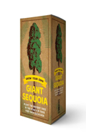 Grow Your Own Giant Sequoia Kit