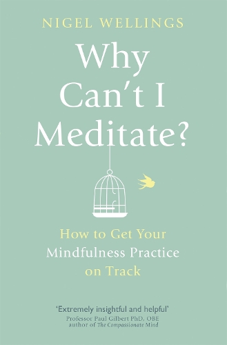 Why Can't I Meditate?