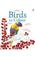 Birds to Colour