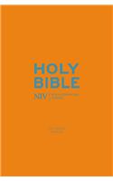 NIV Pocket Cyan Soft-tone Bible with Zip