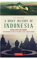 A Brief History of Indonesia