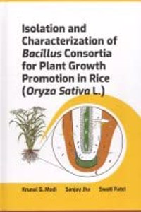 Isolation and Characterization of Bacillus Consortia for Plant Growth Promotion in Rice Oryza Sativa L.
