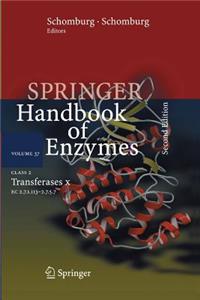 Class 2 Transferases X