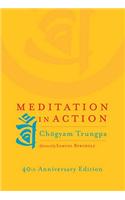 Meditation in Action