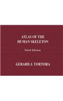 Atlas of the Human Skeleton
