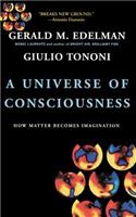 A Universe Of Consciousness How Matter Becomes Imagination