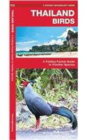 Thailand Birds
