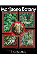 Marijuana Botany
