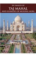 501 Images Of Tajmahal And Glimpses Of Mughal Agra