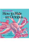 How to Hide an Octopus and Other Sea Creatures