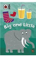 Early Learning: Big and Little