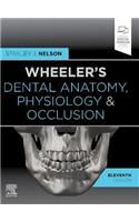 Wheeler's Dental Anatomy, Physiology and Occlusion