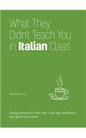 What They Didn't Teach You in Italian Class