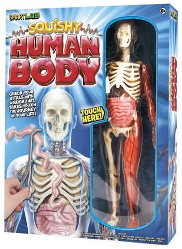 Squishy Human Body