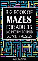 Big Book of Mazes for Adults