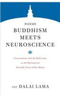 Where Buddhism Meets Neuroscience