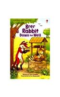  Brer Rabbit Down The Well