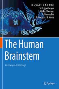 The Human Brainstem