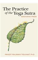 Practice of the Yoga Sutra