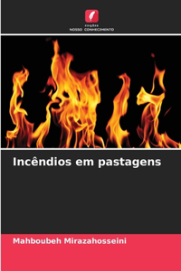Incêndios em pastagens