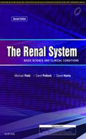 The Renal System