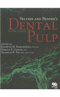 Seltzer and Bender's Dental Pulp