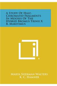 A Study of Half-Chromatid Fragments in Meiosis of the Hybrid Bromus Trinii X B. Maritimus