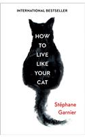 How to Live Like Your Cat