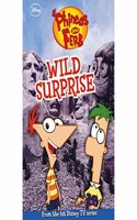 Disney Phineas & Ferb Fiction - Wild Surprise