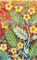 Katili Rah Ke Phool