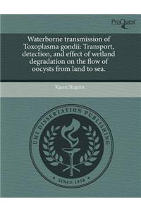 Waterborne Transmission of Toxoplasma Gondii: Transport
