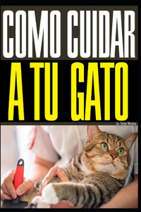 Como Cuidar a Tu Gato