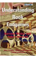 Understanding Rook Endgames