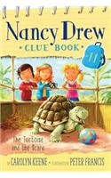 Tortoise and the Scare