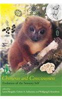 Chimeras and Consciousness