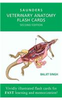 Veterinary Anatomy Flash Cards