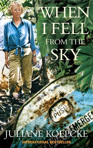 When I Fell From The Sky: (English)