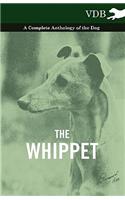 Whippet - A Complete Anthology of the Dog