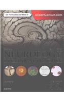 Bradley's Neurology in Clinical Practice, 2-Volume Set