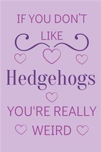 If You Don't Like Hedgehogs You're Really Weird