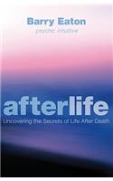 Afterlife