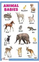 Animal Babies Educational Chart