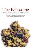 Ribosome