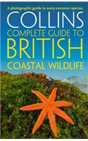 British Coastal Wildlife