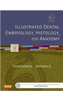 Illustrated Dental Embryology, Histology, and Anatomy