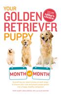 Your Golden Retriever Puppy Month by Month