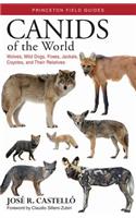 Canids of the World
