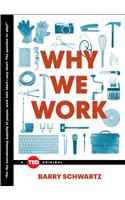 Why We Work