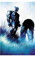 Wolverine: Prehistory