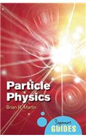 Particle Physics